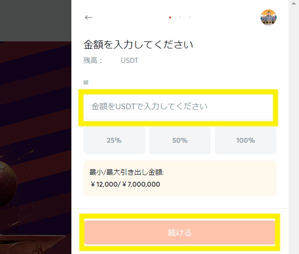 ビットカジノ JPY出金 金額入力